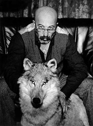 "Одинокий волк - это круто!"